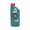 Масло моторное Castrol MAGNATEC FS ENGINE OIL 5w30 C3 1л  CASTROL cm0530001